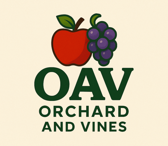 OAV Orchard and Vines